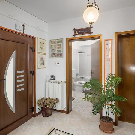 Pet Friendly In With Kitchen *